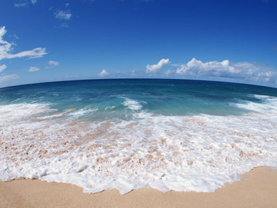 中高年シニアが異性の恋人探しOK!無料出会い系!!