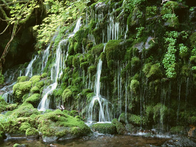 シニア熟年が出会い系で恋人探してセフレとセックスした話!